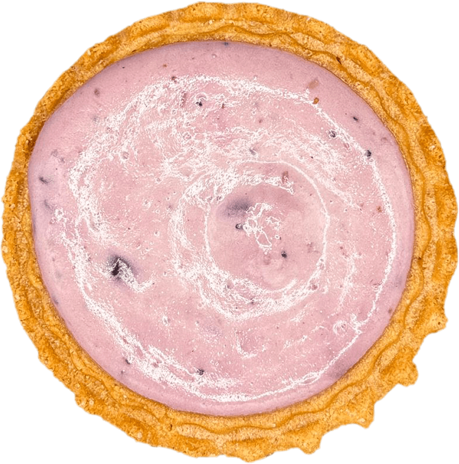 Cato Cheesetarte mit Blaubeer-Geschmack von oben Fotografiert